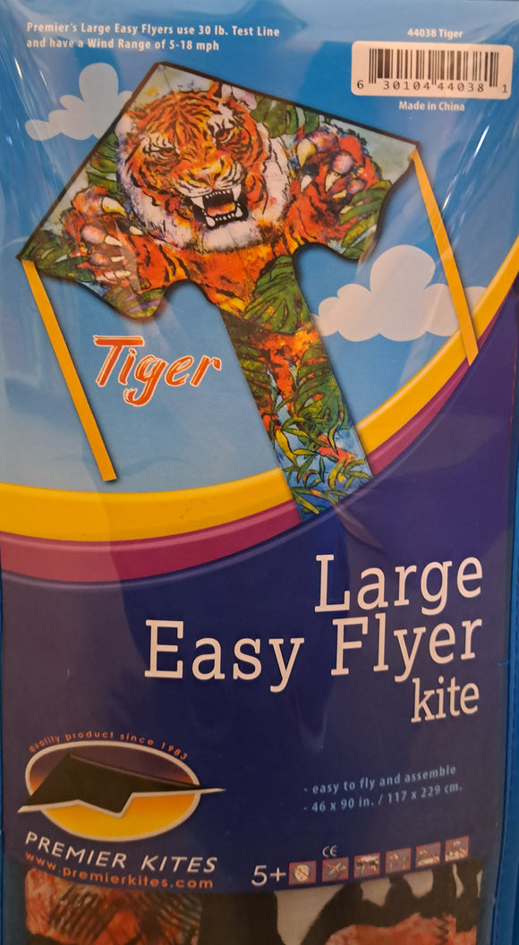 Large Easy Flyer Kite