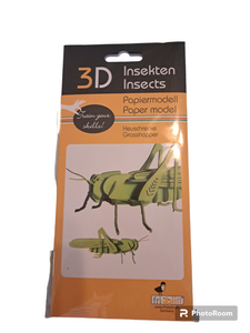 3D Paper Model - Grasshopper