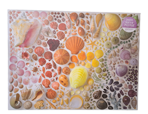 Seashells - 2000pc Puzzle