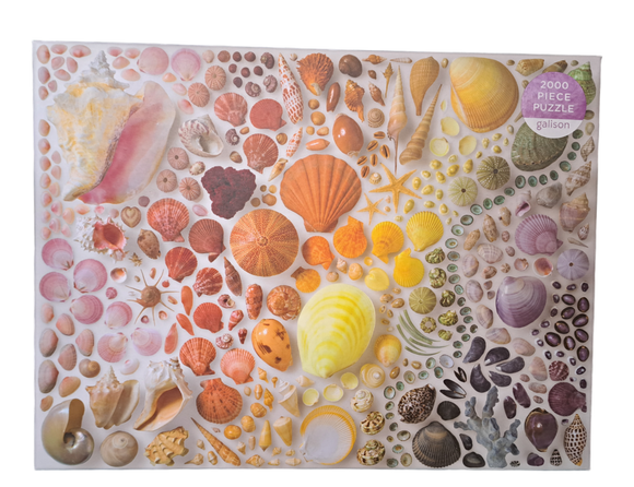 Seashells - 2000pc Puzzle