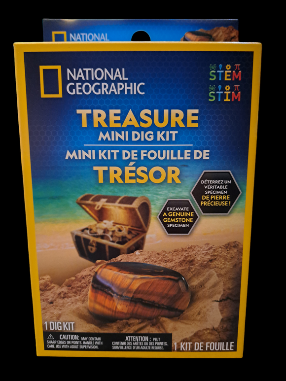 Treasure Mini Dig Kit