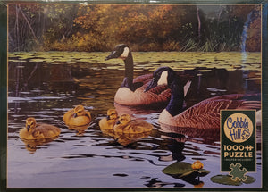 Cobble Hill 1000pc Puzzle - Platts Pond