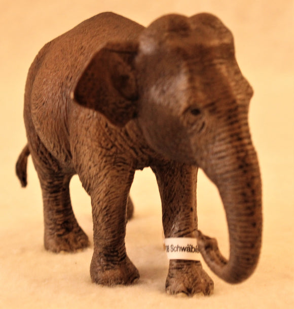 Schleich - Asian Elephant, Female