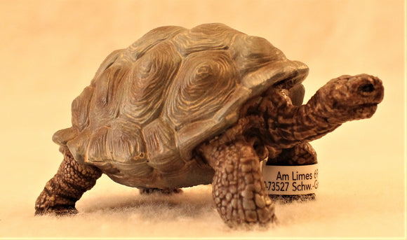 Schleich - Giant Tortoise